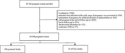 Determinants for Perinatal Mortality in South China: A Prospective Cohort Study